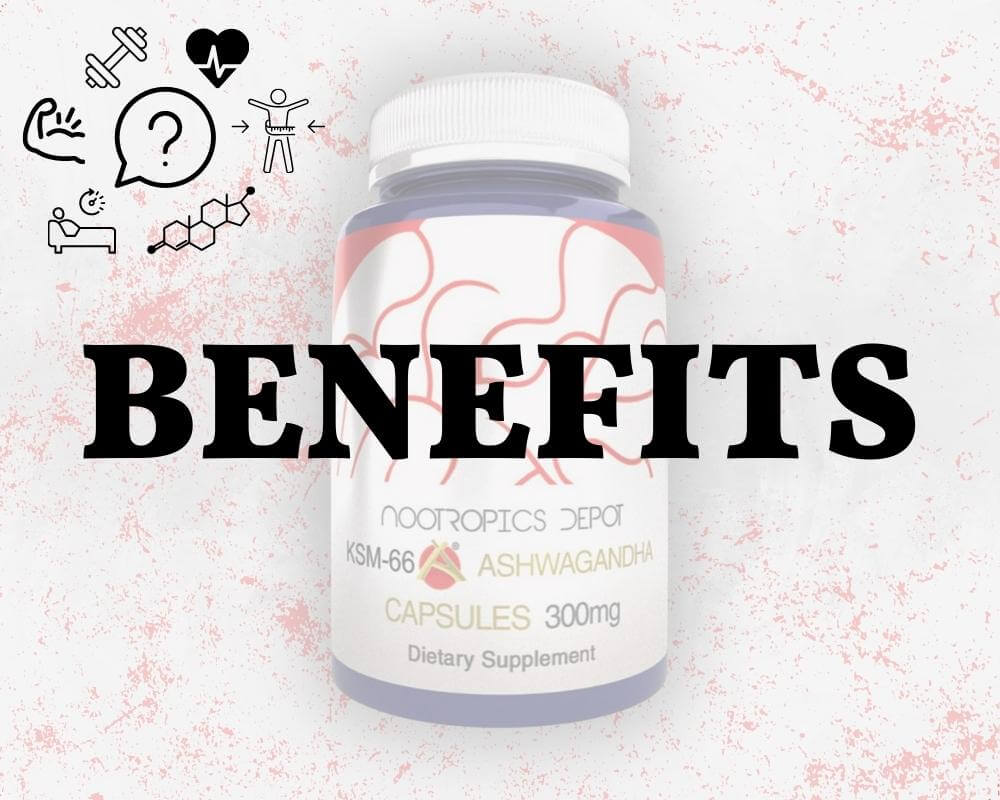 Ashwagandha KSM66 Nootropics Depot A Honest Review